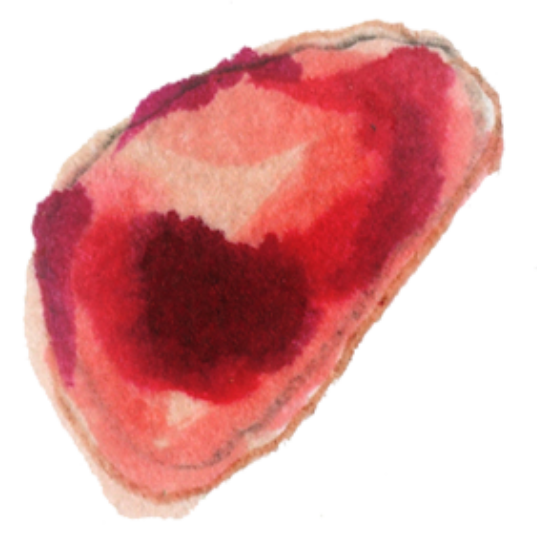 pomegranate seed